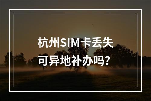 杭州SIM卡丢失可异地补办吗？