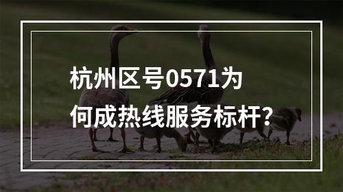 杭州区号0571为何成热线服务标杆？