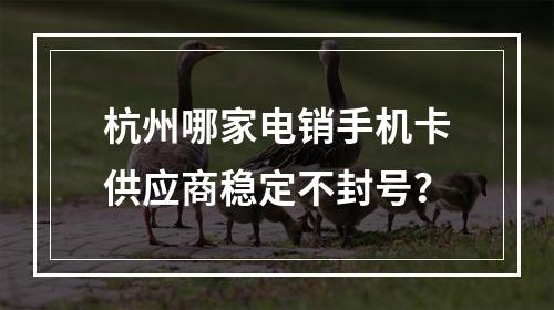 杭州哪家电销手机卡供应商稳定不封号？