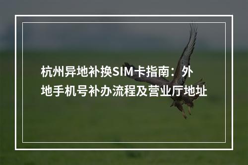 杭州异地补换SIM卡指南：外地手机号补办流程及营业厅地址