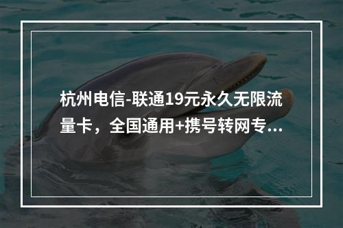 杭州电信-联通19元永久无限流量卡，全国通用+携号转网专享优惠