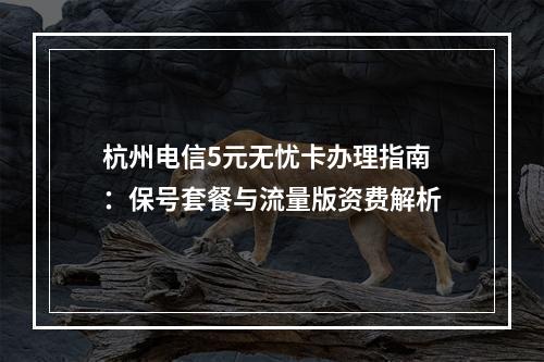 杭州电信5元无忧卡办理指南：保号套餐与流量版资费解析