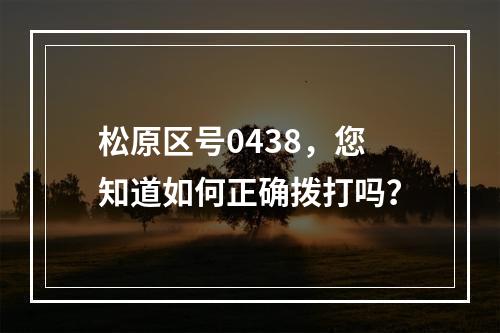 松原区号0438，您知道如何正确拨打吗？