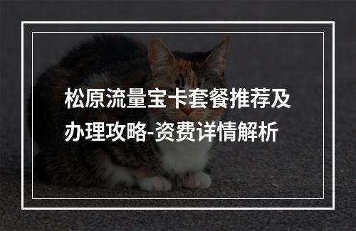 松原流量宝卡套餐推荐及办理攻略-资费详情解析