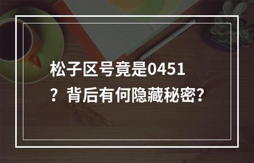 松子区号竟是0451？背后有何隐藏秘密？