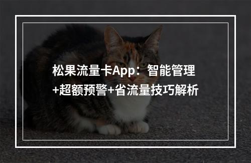 松果流量卡App：智能管理+超额预警+省流量技巧解析