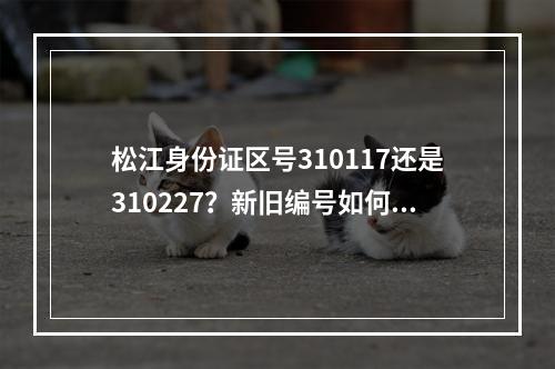 松江身份证区号310117还是310227？新旧编号如何区分？
