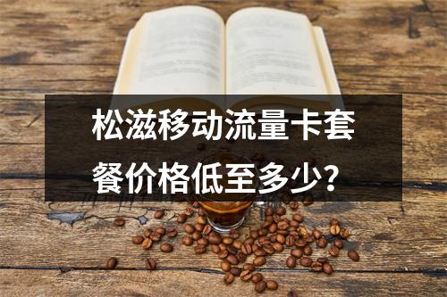 松滋移动流量卡套餐价格低至多少？