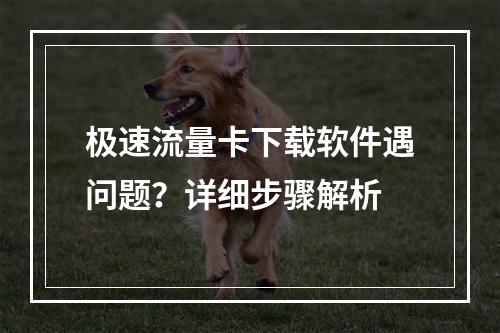 极速流量卡下载软件遇问题？详细步骤解析