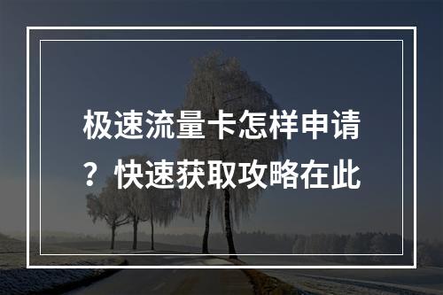 极速流量卡怎样申请？快速获取攻略在此