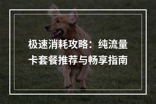 极速消耗攻略：纯流量卡套餐推荐与畅享指南