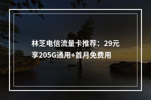 林芝电信流量卡推荐：29元享205G通用+首月免费用