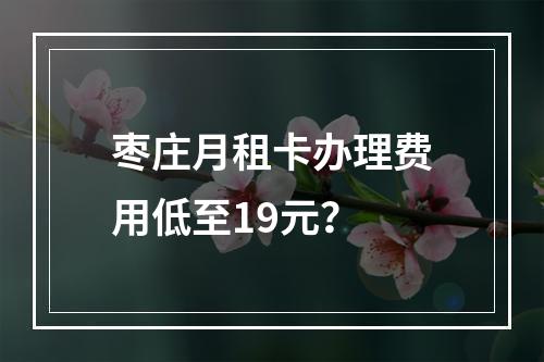 枣庄月租卡办理费用低至19元？