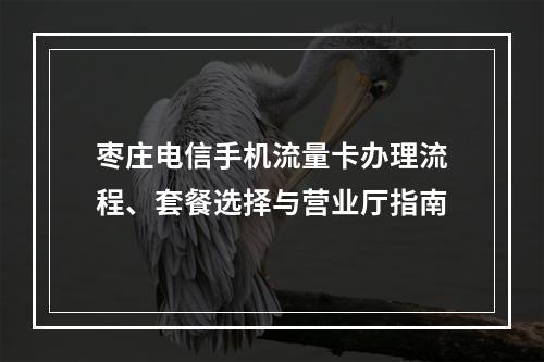 枣庄电信手机流量卡办理流程、套餐选择与营业厅指南