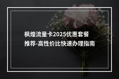 枫煌流量卡2025优惠套餐推荐-高性价比快速办理指南