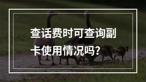 查话费时可查询副卡使用情况吗？