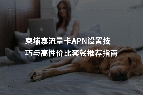 柬埔寨流量卡APN设置技巧与高性价比套餐推荐指南