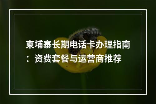 柬埔寨长期电话卡办理指南：资费套餐与运营商推荐