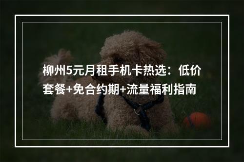 柳州5元月租手机卡热选：低价套餐+免合约期+流量福利指南