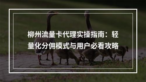 柳州流量卡代理实操指南：轻量化分佣模式与用户必看攻略