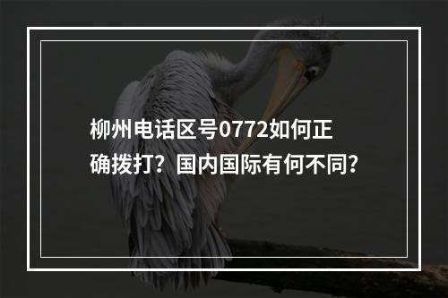 柳州电话区号0772如何正确拨打？国内国际有何不同？