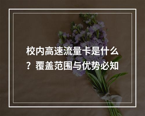 校内高速流量卡是什么？覆盖范围与优势必知