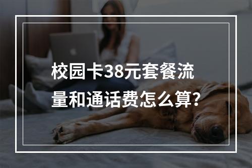 校园卡38元套餐流量和通话费怎么算？
