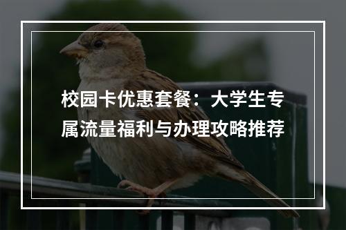 校园卡优惠套餐：大学生专属流量福利与办理攻略推荐