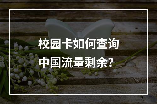 校园卡如何查询中国流量剩余？