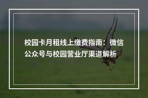 校园卡月租线上缴费指南：微信公众号与校园营业厅渠道解析