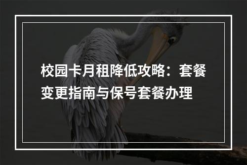 校园卡月租降低攻略：套餐变更指南与保号套餐办理
