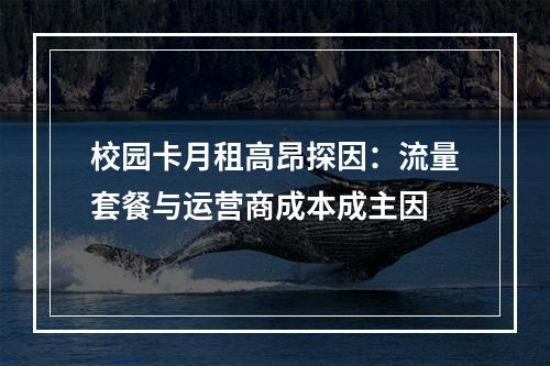校园卡月租高昂探因：流量套餐与运营商成本成主因