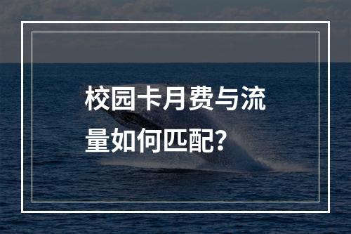 校园卡月费与流量如何匹配？