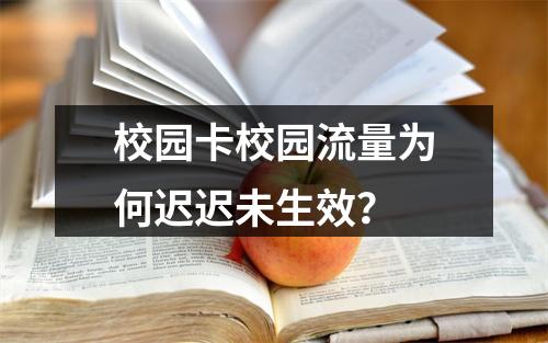 校园卡校园流量为何迟迟未生效？