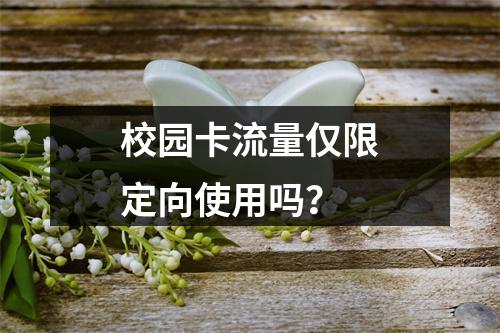 校园卡流量仅限定向使用吗？