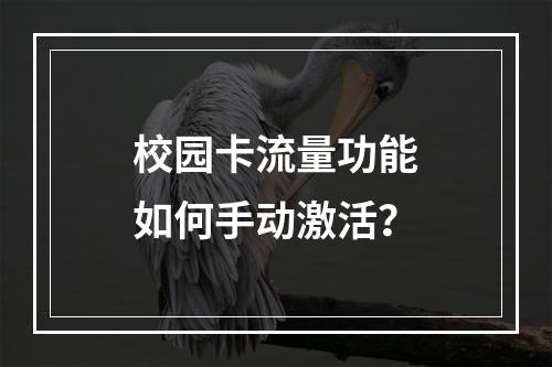 校园卡流量功能如何手动激活？