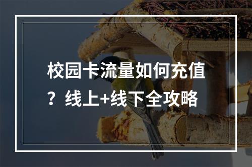 校园卡流量如何充值？线上+线下全攻略