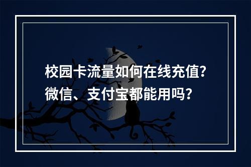 校园卡流量如何在线充值？微信、支付宝都能用吗？