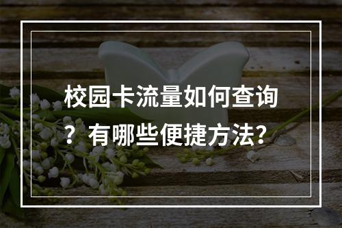 校园卡流量如何查询？有哪些便捷方法？