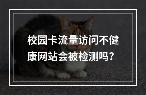 校园卡流量访问不健康网站会被检测吗？