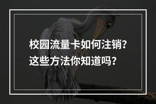 校园流量卡如何注销？这些方法你知道吗？