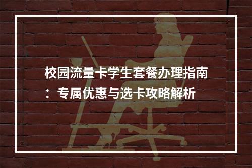 校园流量卡学生套餐办理指南：专属优惠与选卡攻略解析