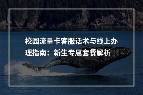 校园流量卡客服话术与线上办理指南：新生专属套餐解析