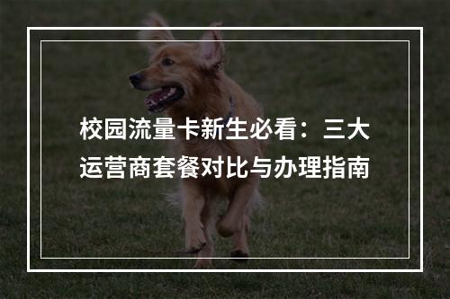 校园流量卡新生必看：三大运营商套餐对比与办理指南