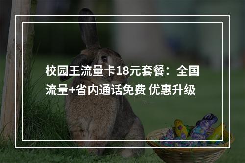 校园王流量卡18元套餐：全国流量+省内通话免费 优惠升级