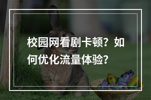 校园网看剧卡顿？如何优化流量体验？