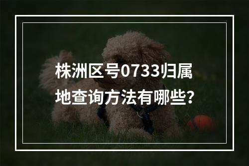 株洲区号0733归属地查询方法有哪些？