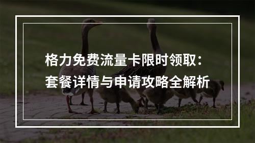 格力免费流量卡限时领取：套餐详情与申请攻略全解析