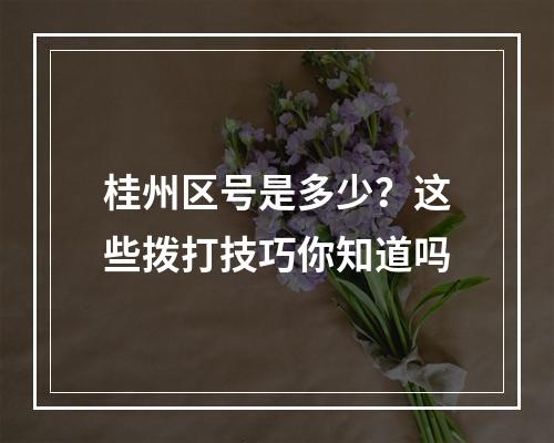 桂州区号是多少？这些拨打技巧你知道吗