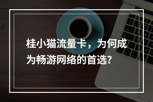 桂小猫流量卡，为何成为畅游网络的首选？
